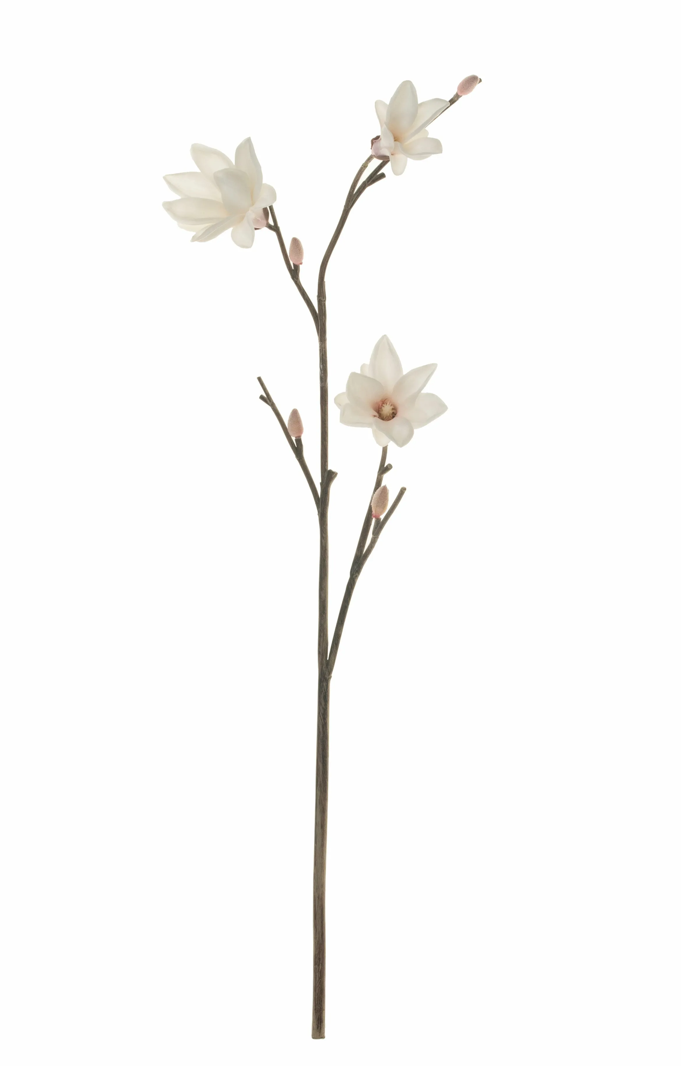 40" Magnolia Stem     FL1039