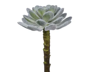 5" UV Protected Houseleek Pick   SF1076UV