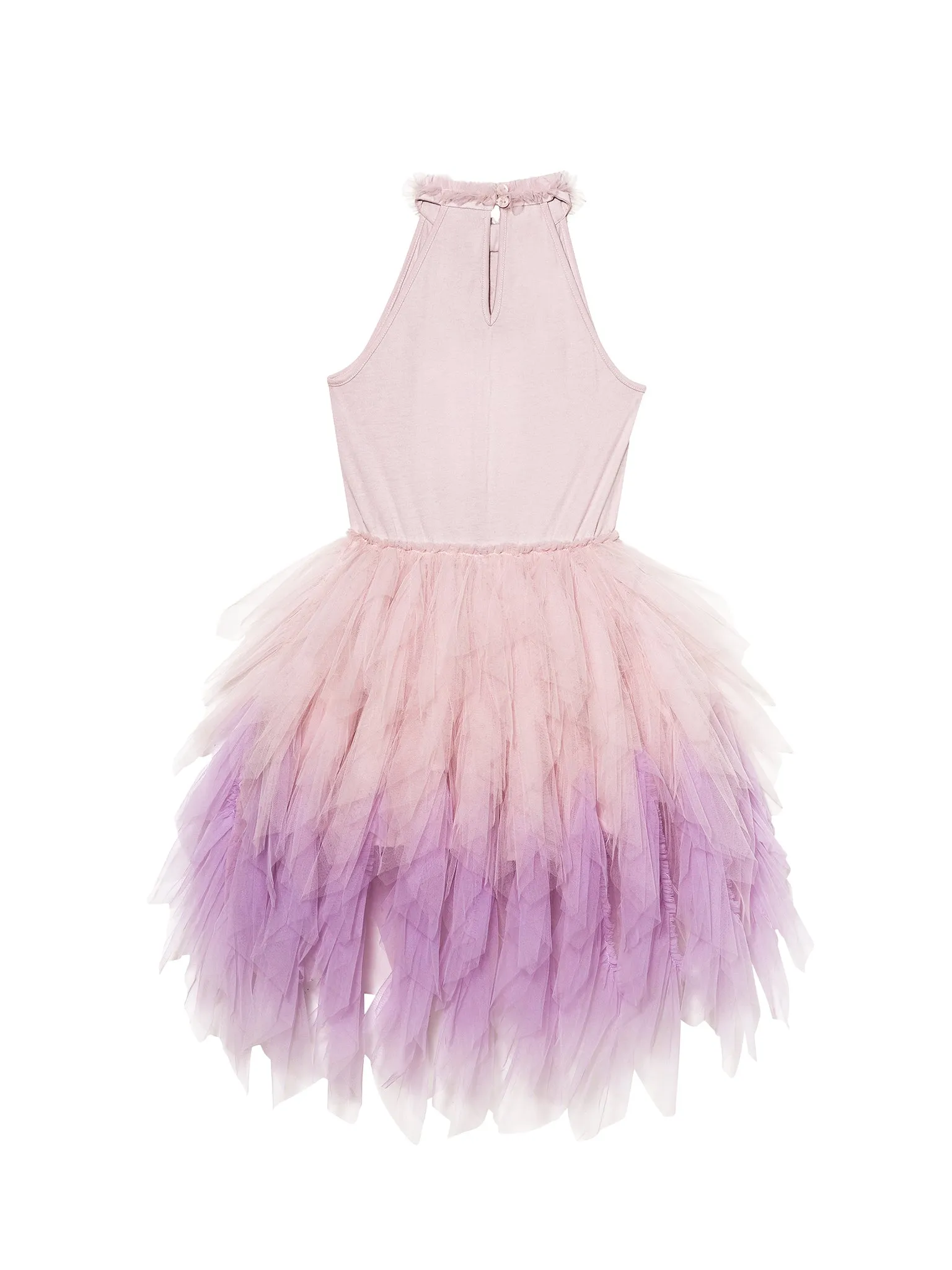 Girl Classicism Purple Tutu Dress