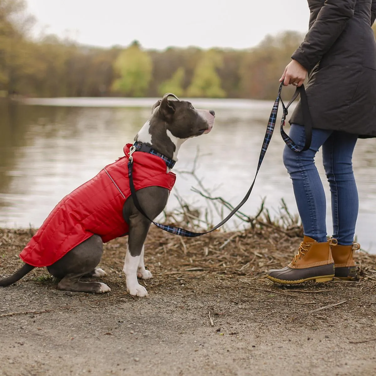 RC Pets Stratus Puffer XL and XXL