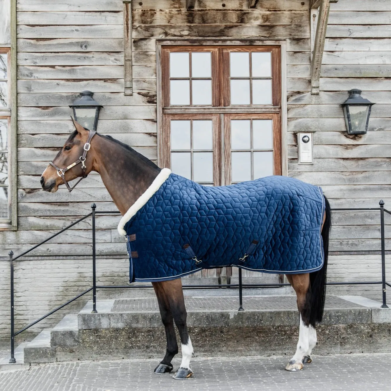 Show Rug Velvet Navy